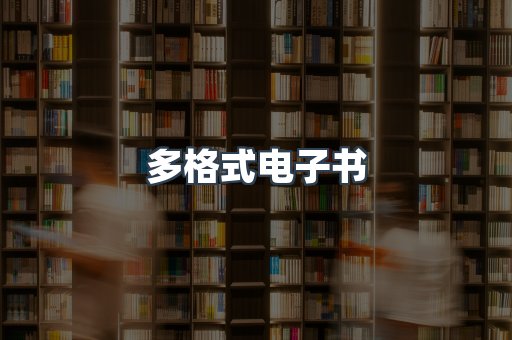 多格式电子书